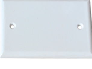 TAPA PLASTICA DE CAJETIN 4X2